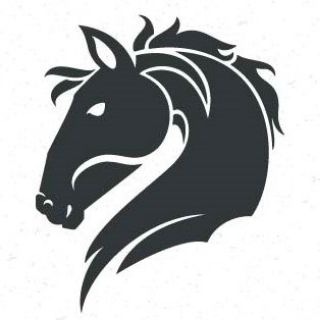 Financial Horse - Singapore Stock and REIT Investments 🐴