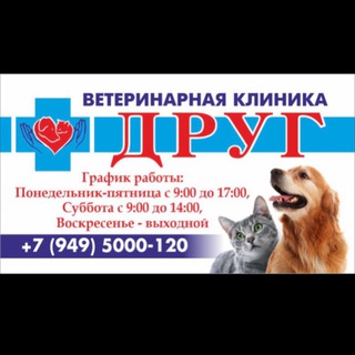 🐾ДРУГ🐾Ветеринарная клиника
