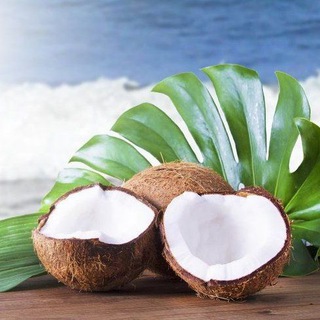 Чат Кокосика 🥥