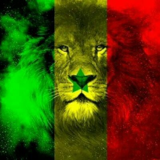 SÉNÉGAL BUSINESS
