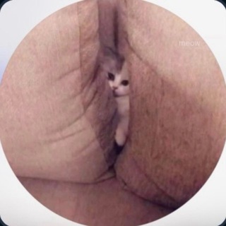 tinytinalegal Content 😰💦