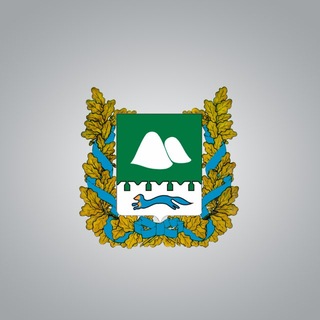 Курганская область официально