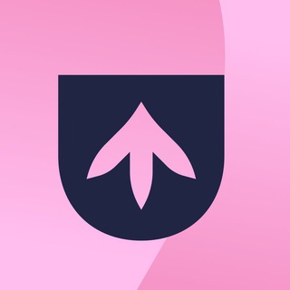 DropArena | CS2