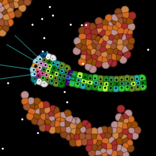 Genomeia
