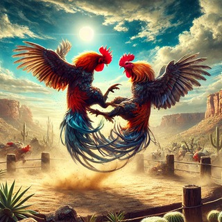 Rooster Fights Club