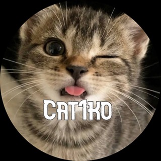 Cat1ko 🍑