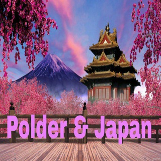 Polder_official🪷