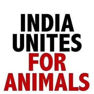 Social media supporters in Animal welfare