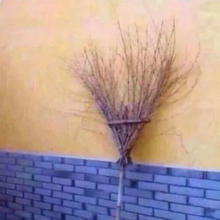 BoyOasis