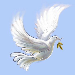 Подари Надежду