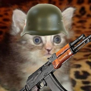 Escape from Tarkov memes [Мемы, СБЭУ, КОМАР]